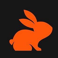 CodeRabbit Inc. logo